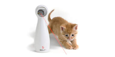 interactive laser cat toy