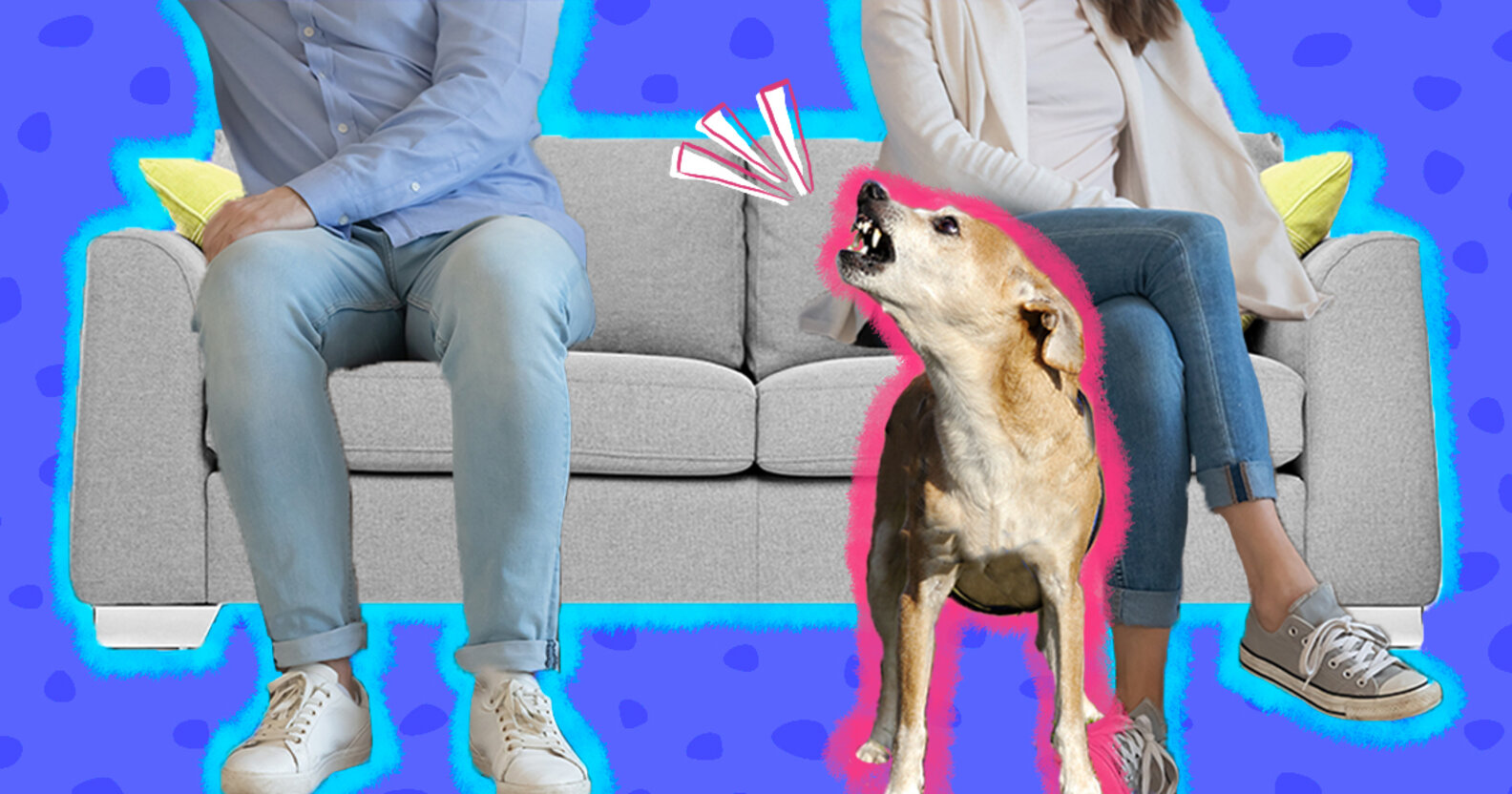 Help! My Dog Hates My Partner! DodoWell The Dodo