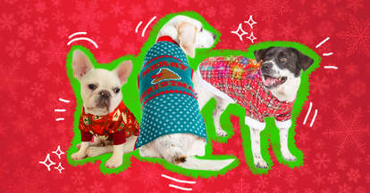 ugly christmas sweaters for dogs