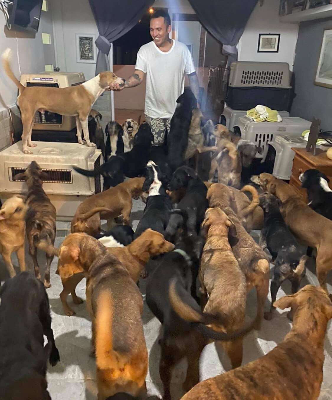 Man saves 300 dogs from hurricane in mexico
