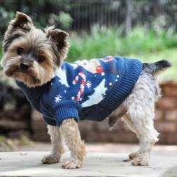 ugly christmas sweaters for dogs