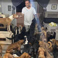 Man Brings 300 Dogs Into His House To Protect Them From Hurricane