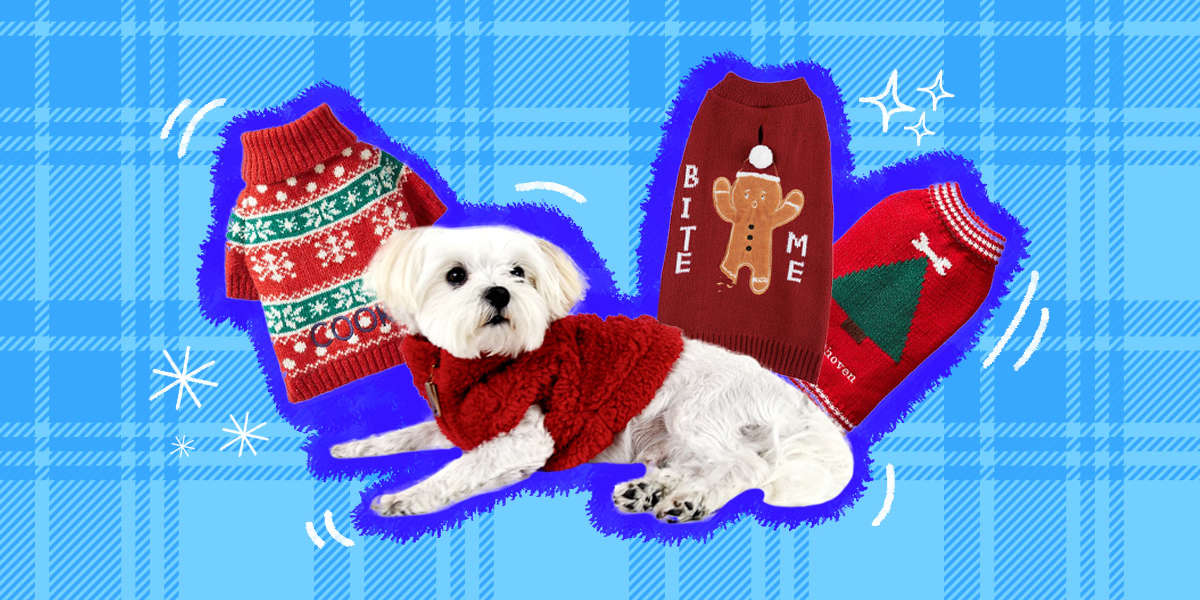 The Cutest Christmas Sweaters For Your Pet DodoWell The Dodo