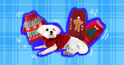 cute christmas dog sweaters