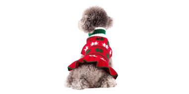 A festive turtleneck sweater dress for dogs