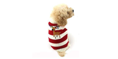 A happy holiday reindeer sweater for dogs