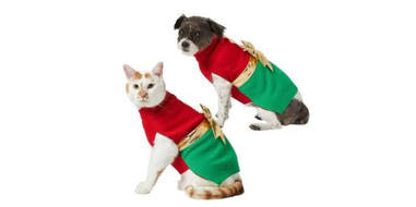 present sweater for dogs and cats