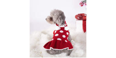 polka dot sweater dress for dogs