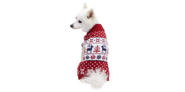 festive turtleneck sweater for dogs