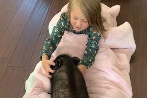 Little Girl Decides To Save A Tiny Piglet