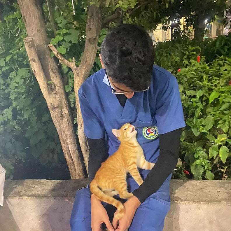 Stray cat cuddles up to nurse