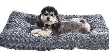 AmazonBasics Plush Dog Pet Bed Pad