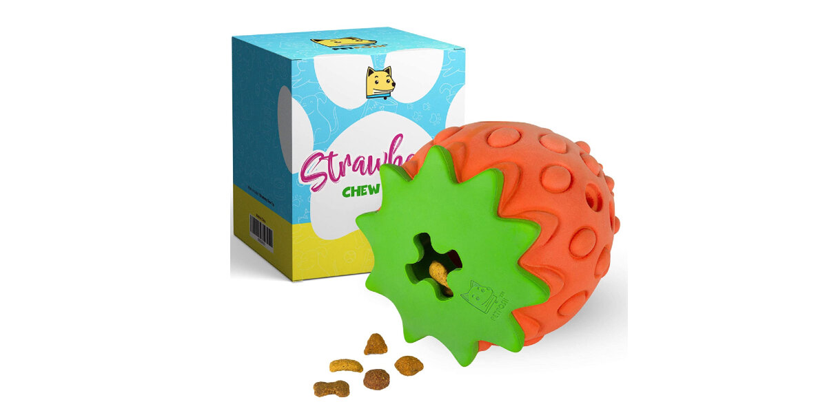 BudgetFriendly Gifts For Dogs DodoWell The Dodo