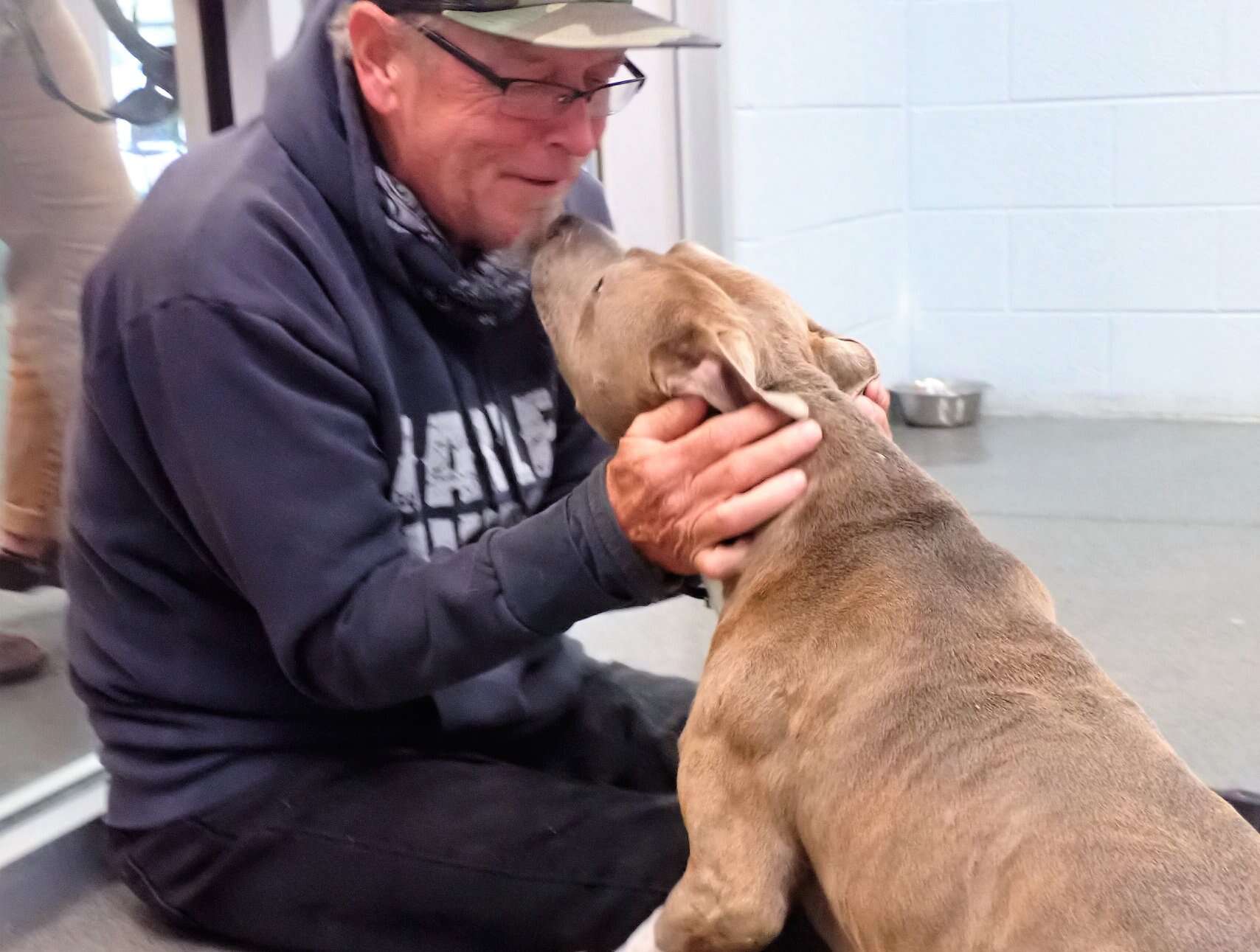 Dog reunites with his owner after six months apart