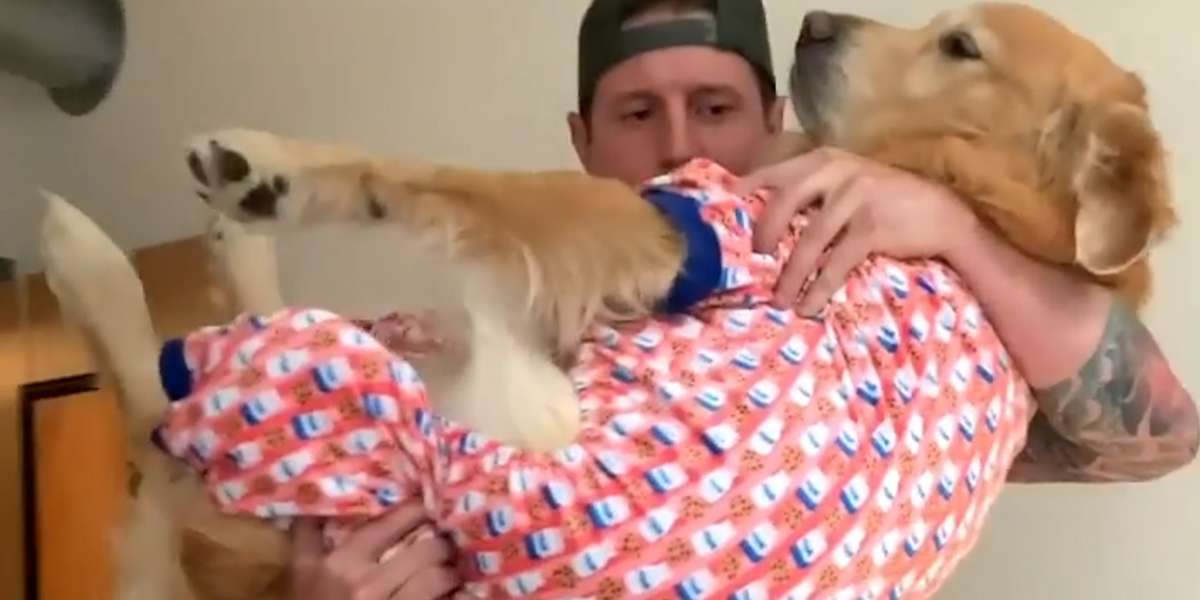 Dog Jumps Into His Dad’s Arms Every Single Night Videos The Dodo