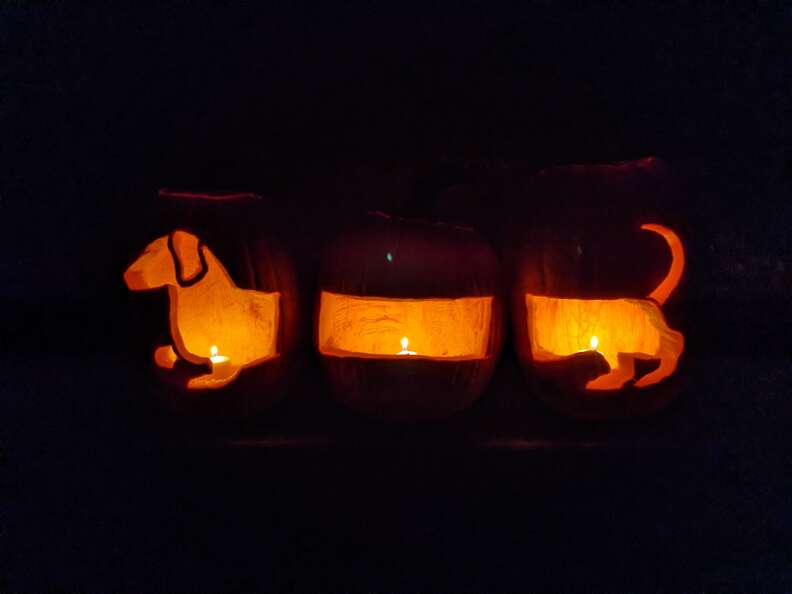 Weiner dog pumpkin best sale