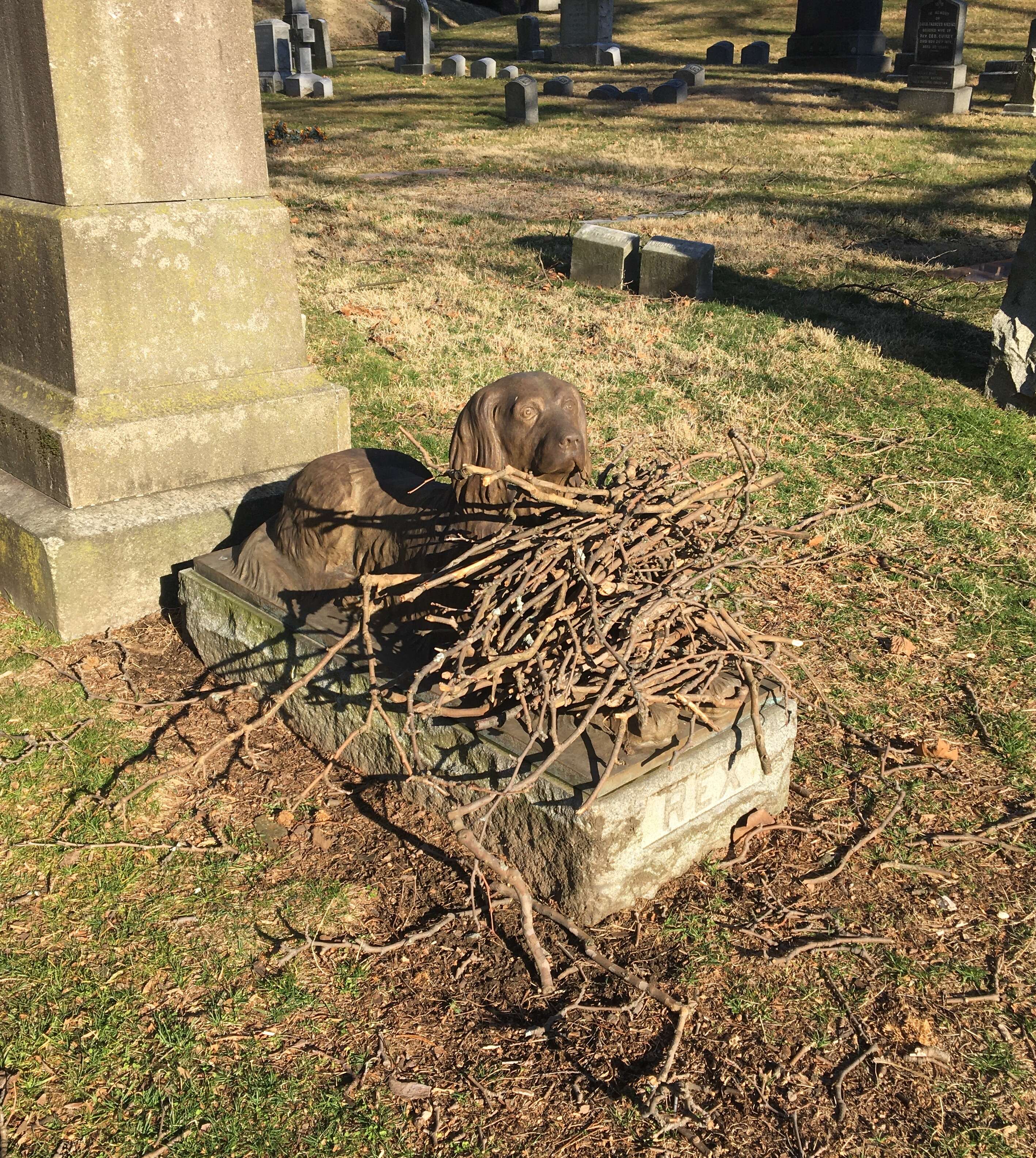People leave sticks on dog grave