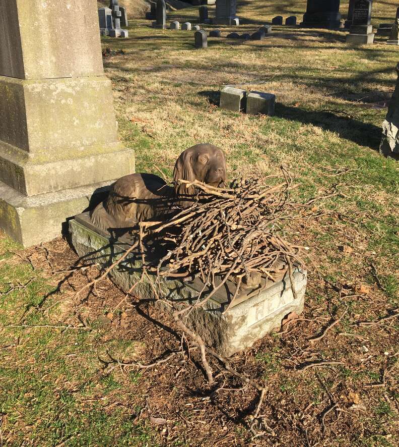 People leave sticks on dog grave