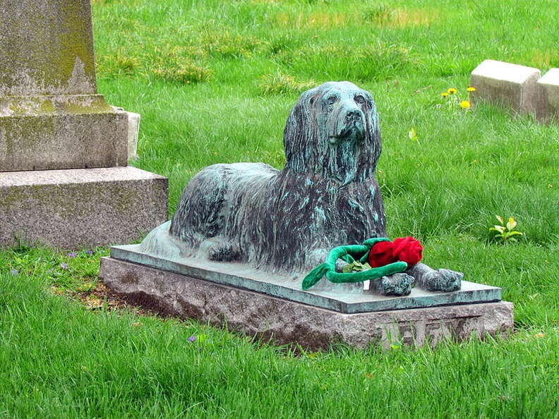 are dogs allowed in greenwood cemetery