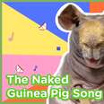 The Naked Guinea Pig Song 