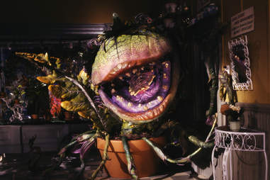 Why Little Shop Of Horrors Is Actually Uniquely Traumatizing Thrillist