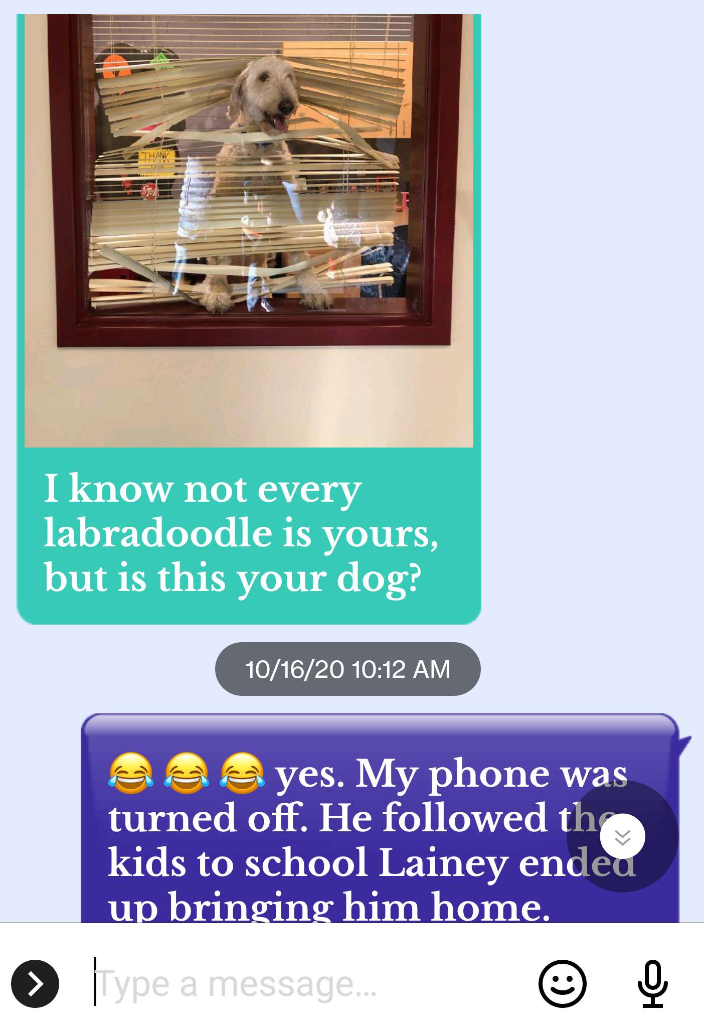 text about dog