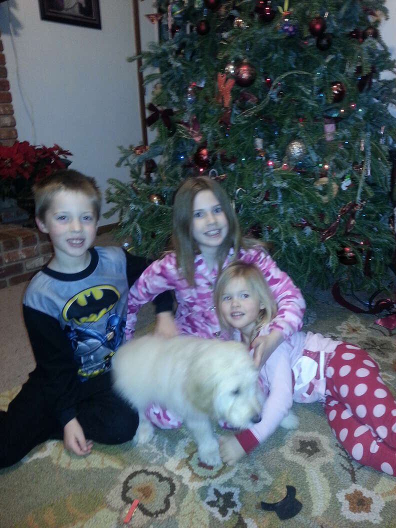 dog and kids at Christmas
