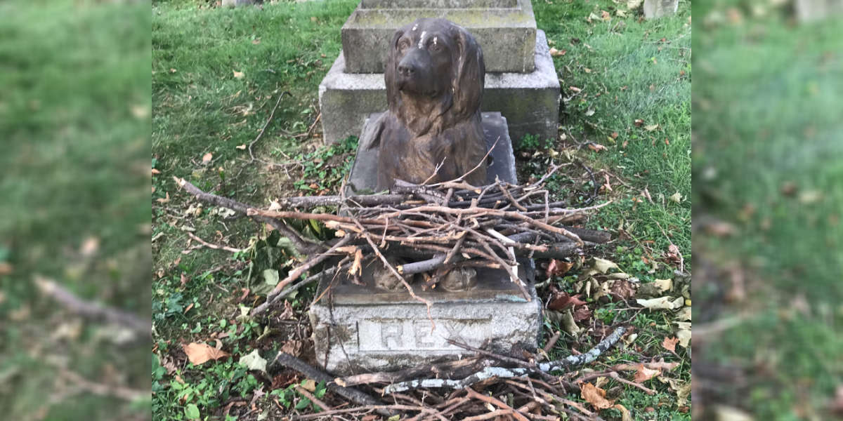 People Are Leaving Sticks At This 100-Year-Old Dog Grave - The Dodo