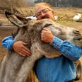 Man And Donkey Joyfully Reunite After Getting Separated During Wildfire 