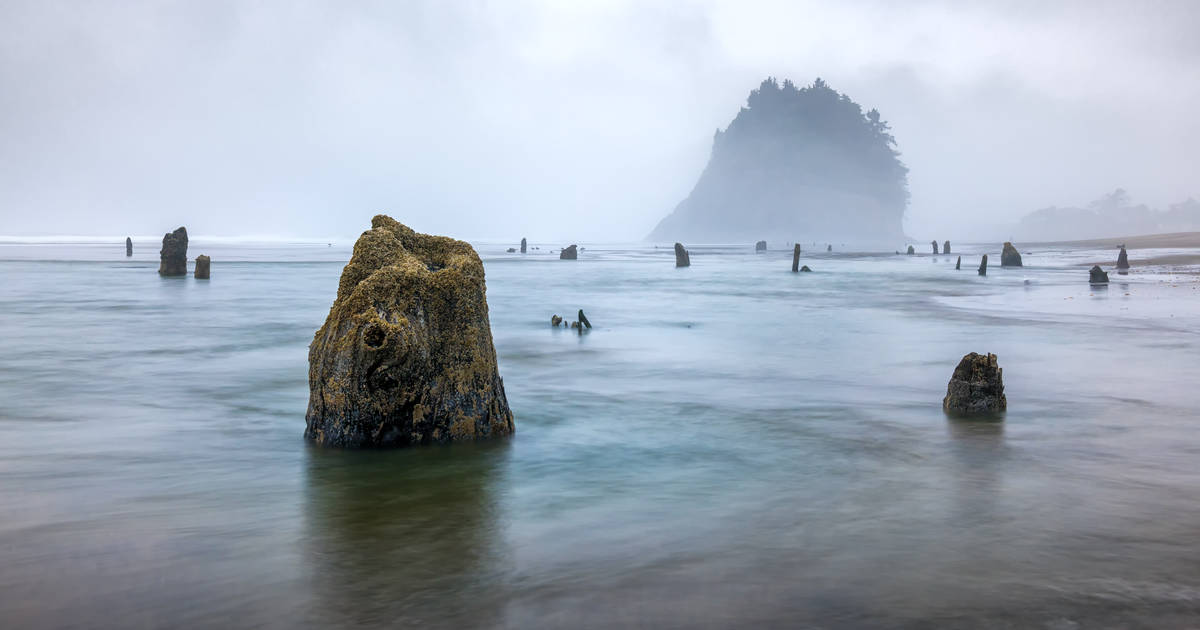 Why Ghost Forests Are 100% Scary, But Not Because of Ghouls