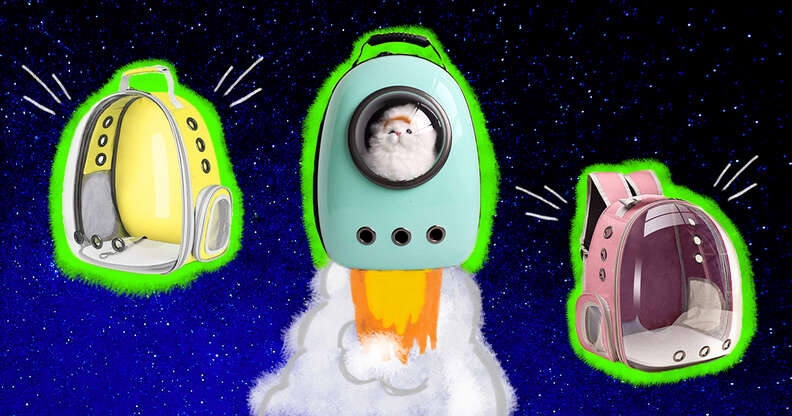 cat bubble backpack