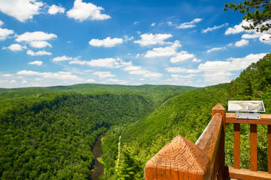Pine Creek Gorge