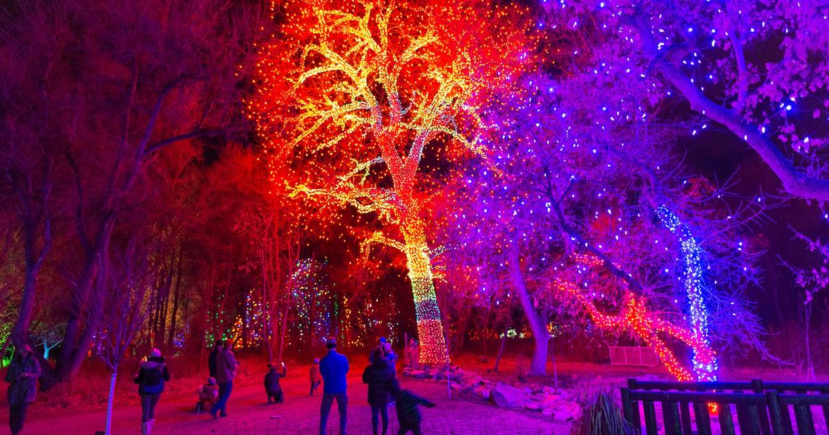 Things To Do In Denver During Christmas 2021 Christmas Eve 2021