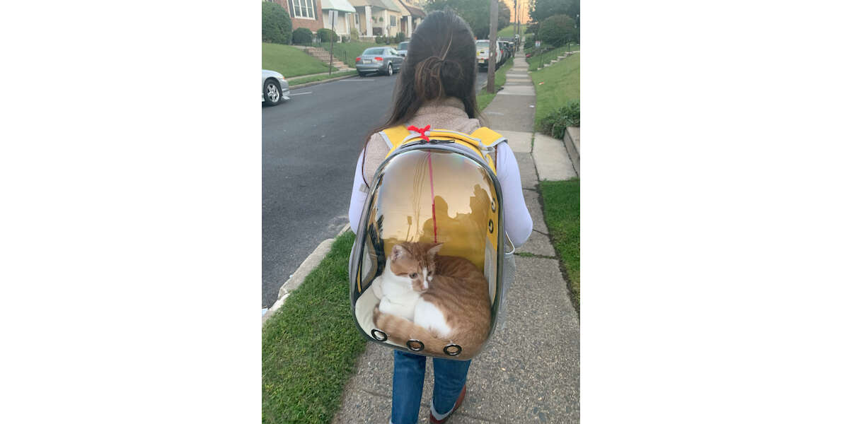 cat bubble backpack