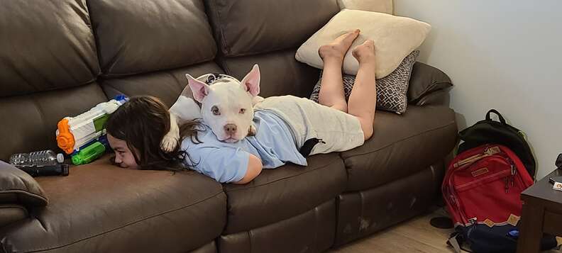 dog lays on top of kid