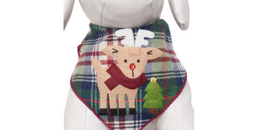 dog stocking stuffers