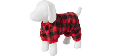 dog stocking stuffers