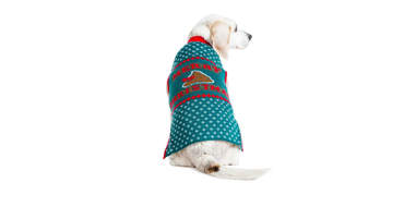 ugly christmas sweaters for dogs