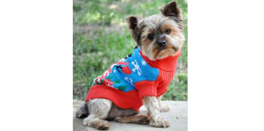 ugly christmas sweaters for dogs