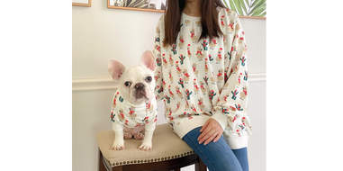 ugly christmas sweaters for dogs