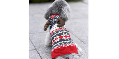 ugly christmas sweaters for dogs
