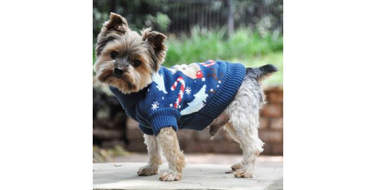ugly christmas sweaters for dogs