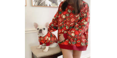 christmas sweaters for dogs