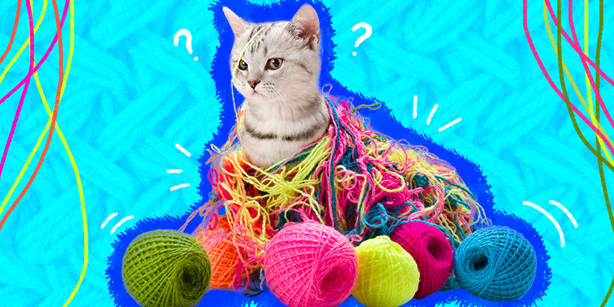 The 9 Best String and Ribbon Toys for Yarn-Loving Cats