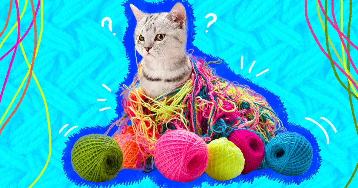 Kitty playing 2025 with yarn