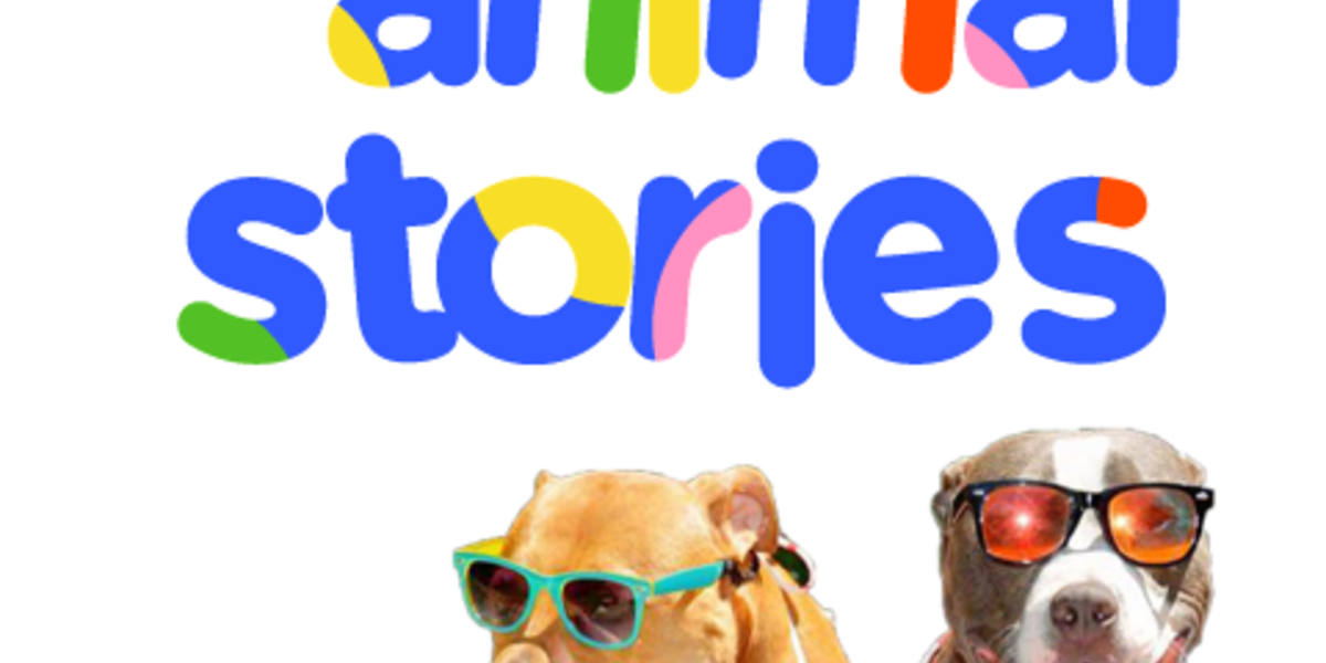More Cute Animal Stories The Dodo