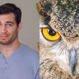 What Makes Owl Eyesight So Powerful?