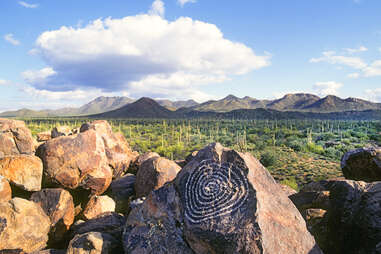 an ancient petroglyph and mountains amongst saguaro cacti