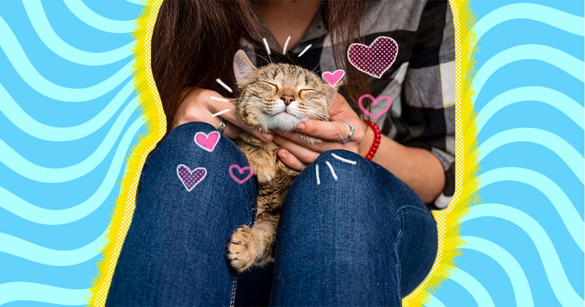 how to show your cat you love him