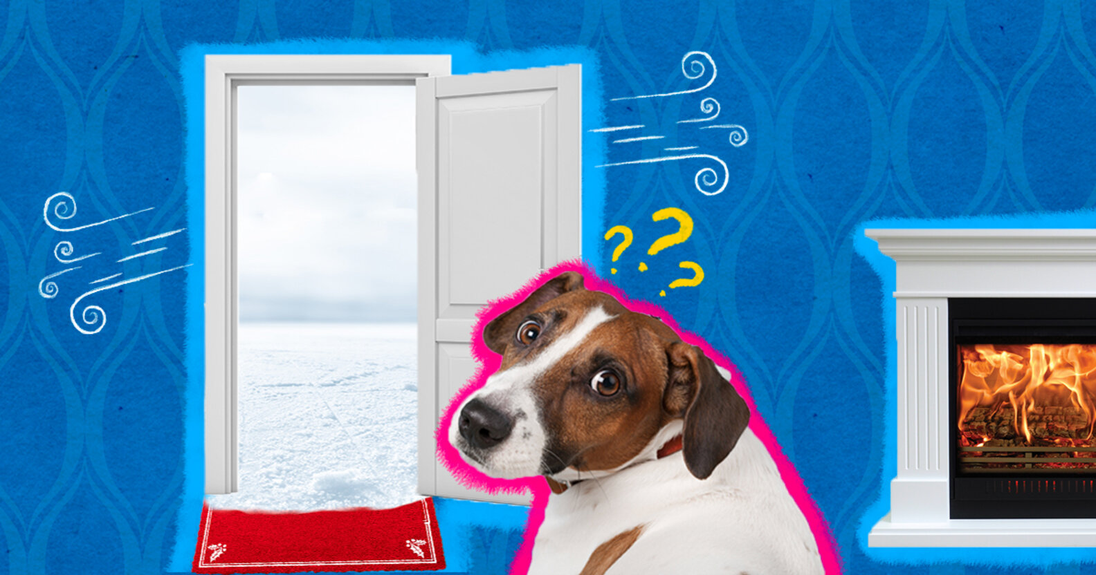 How Cold Is Too Cold For Dogs To Walk? Look For These Signs DodoWell